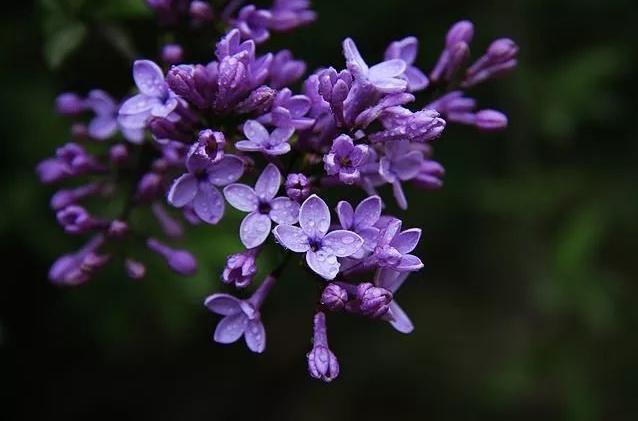 华语男流行歌曲100首完整版,男流行歌曲三十首经典