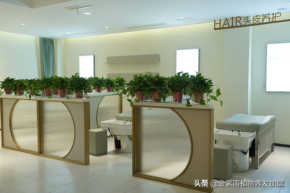 美容美发行业好还是养发馆好,美发店可以加盟养发馆吗