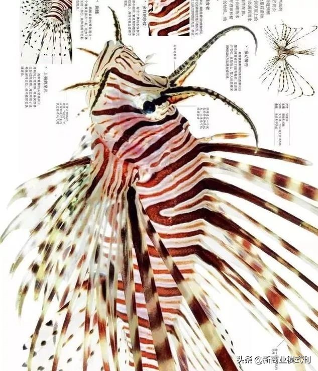 社群营销书籍大全,社群营销书籍