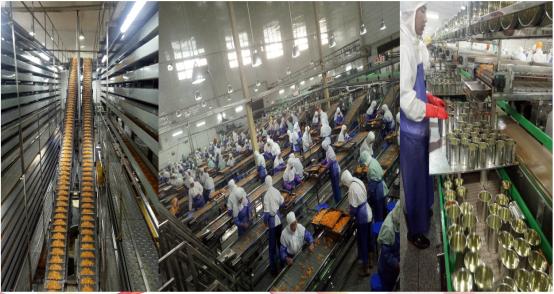 湖南宝达食品有限公司现状,湖南宝达食品桔子罐头厂