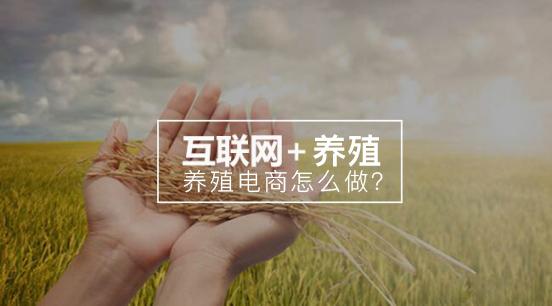 线上互联网养殖,养殖加盟商业模式