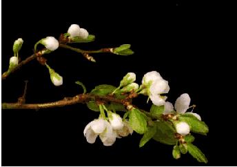 这几天一直收到陌生人的电话,真的接到ai电话该怎么判断