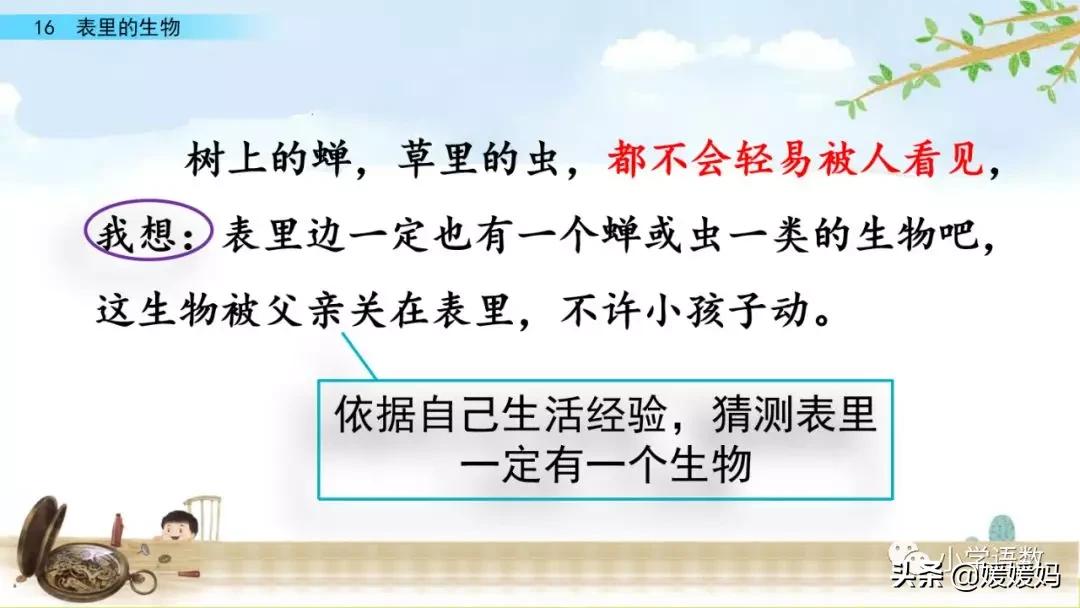 六年级下册语文表里的生物朗诵,六年级下册表里的生物小练笔400字