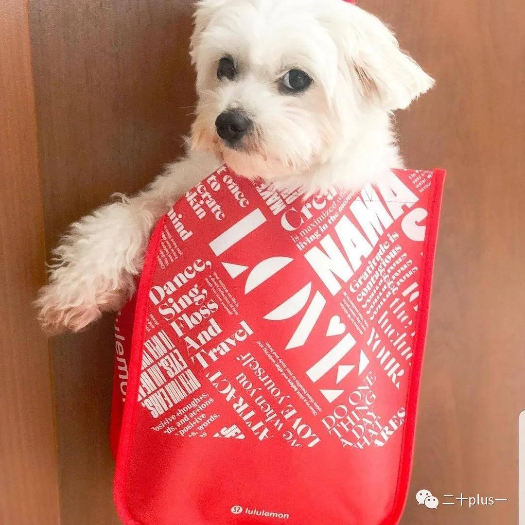 测评健身服装,健身腰带品牌推荐