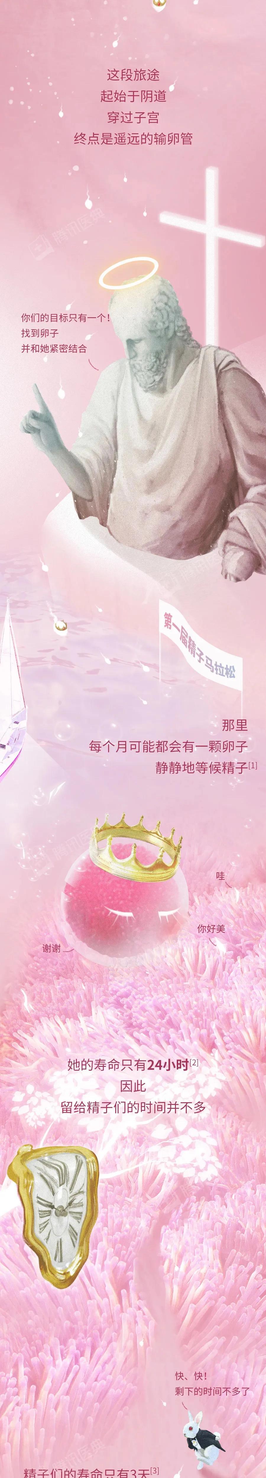 精子与卵子结合孕育生命全过程,精子和卵子孕育的全过程