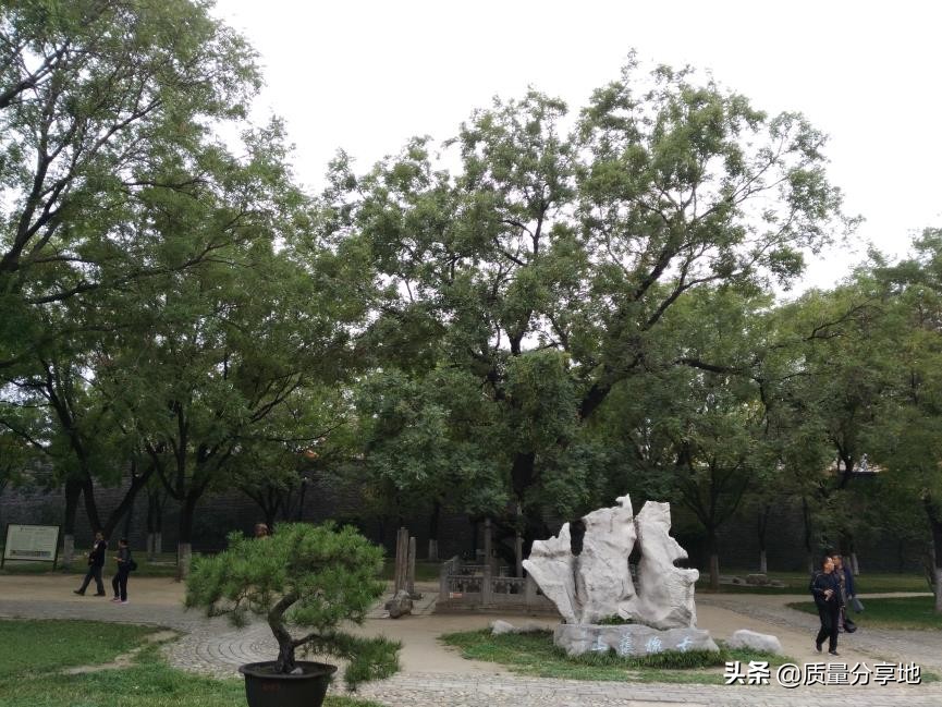 五岳独尊泰山一日游,泰山五岳独尊游记