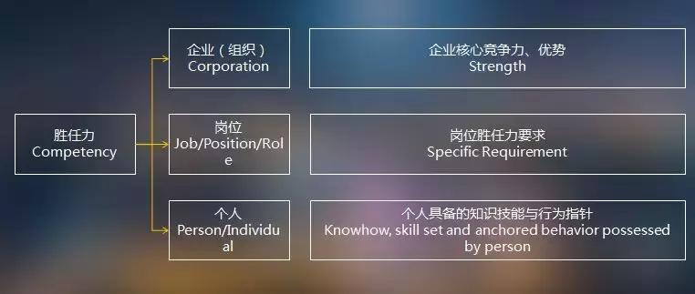 岗位素质模型与岗位胜任力模型,胜任力模型构建的七个步骤