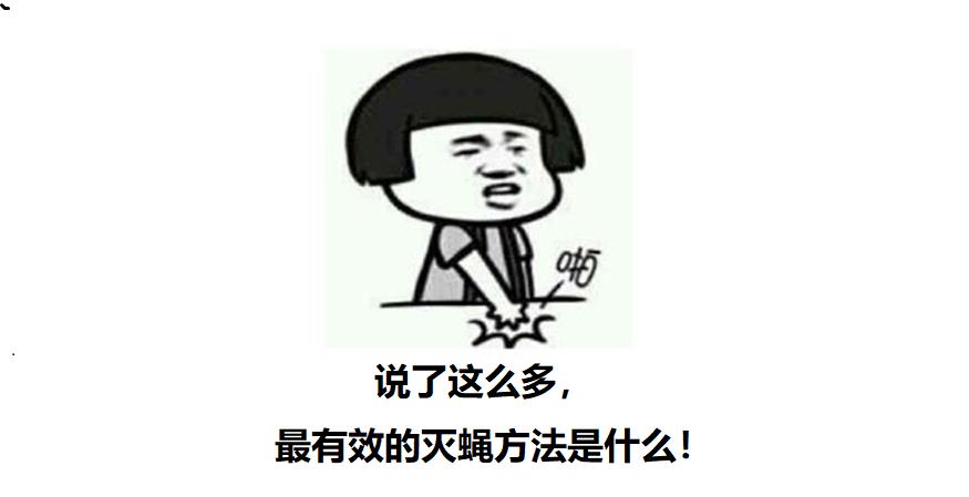 赶走苍蝇有什么生活小妙招,如何赶走苍蝇最有效的方法