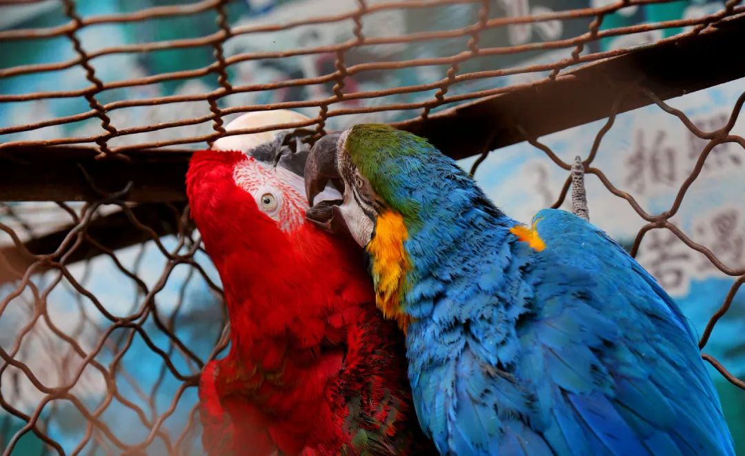 济南亲子遛娃景点排行榜夏季,济南槐荫区遛娃好去处很近的