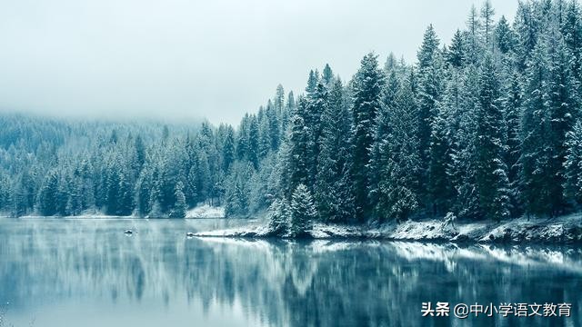 语文考试必备常识大全,语文考高分技巧深度解析