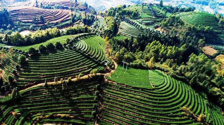 犍为风景最优美的地方,美丽的犍为风景