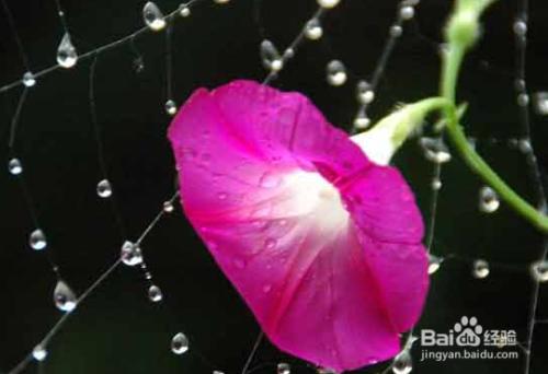 未婚得宫颈囊肿正常么,未婚女性得宫颈囊肿是怎么导致的