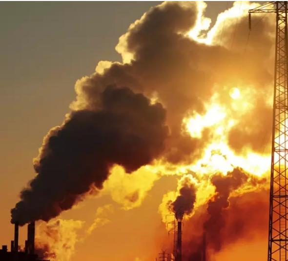 无土栽培技术视频免费,蔬菜无土栽培技术视频