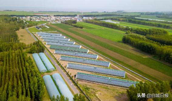 温室大棚促进农业增收,温室大棚农业产业