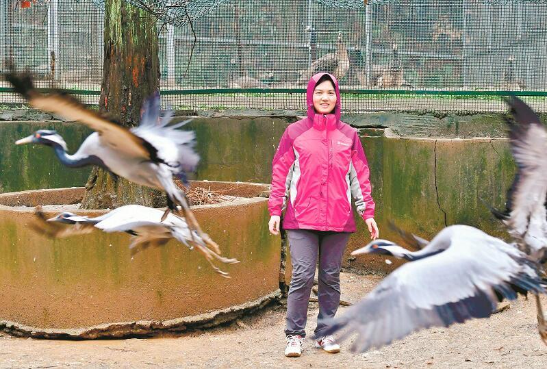 天使！她15年里先后救护放生5000多只野生动物