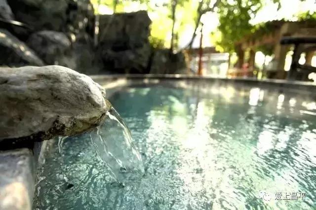 半价温泉票,暖冬特惠温泉票