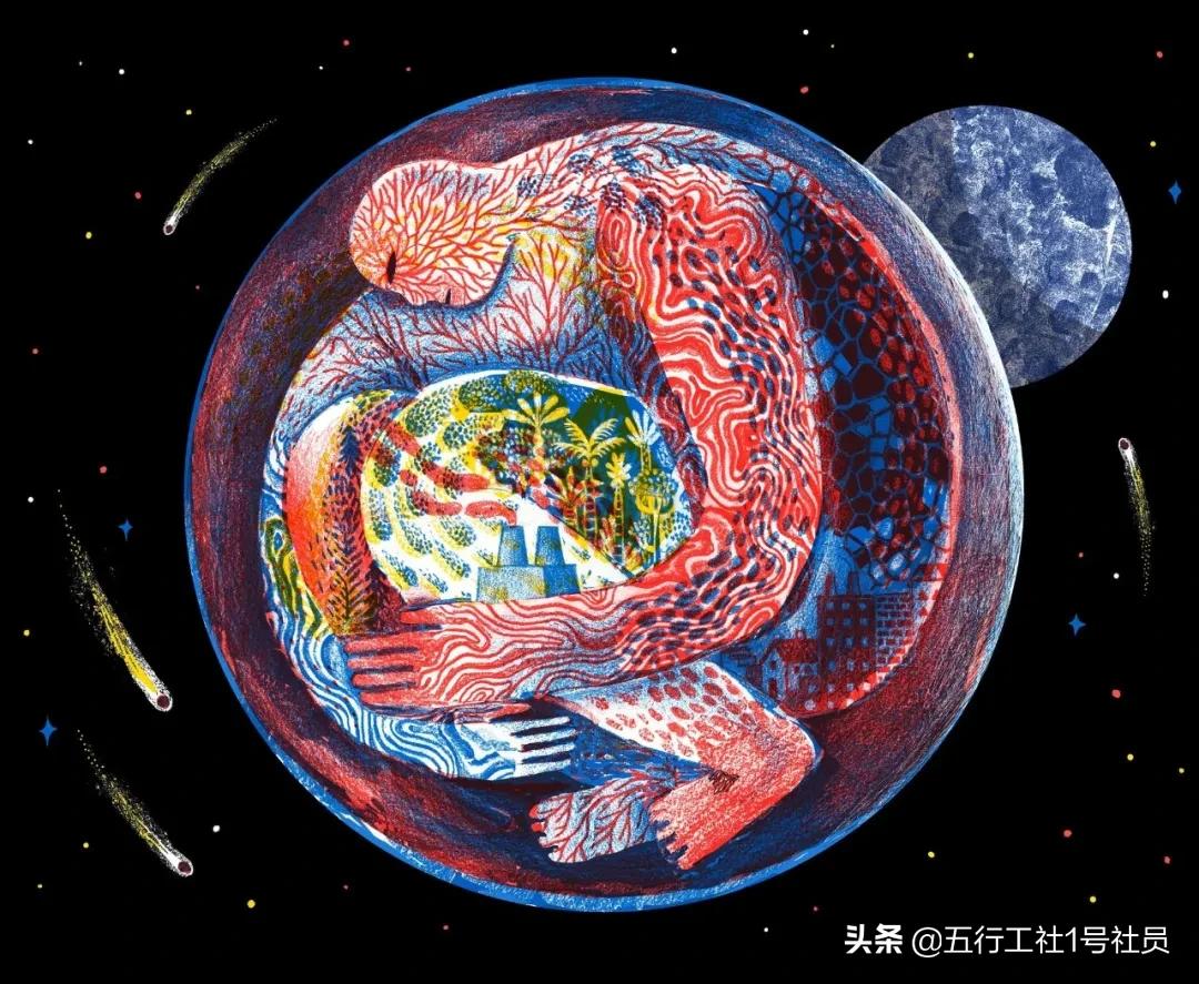 纽约时报年度最佳童书绘本推荐,纽约时报年度最佳图书