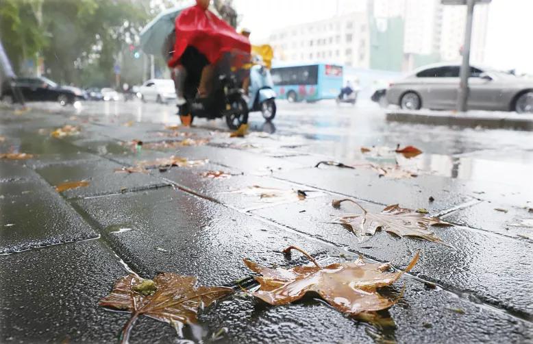 今日秋分|微凉秋雨浸润宛城