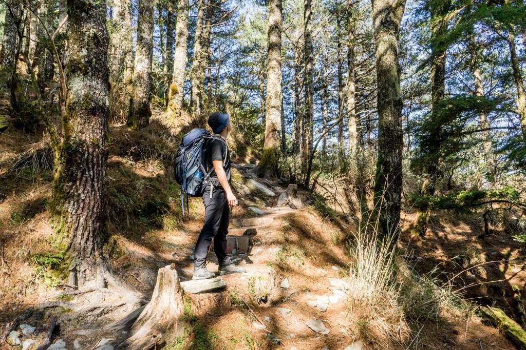 montbellt恤女款,montbell棉t恤