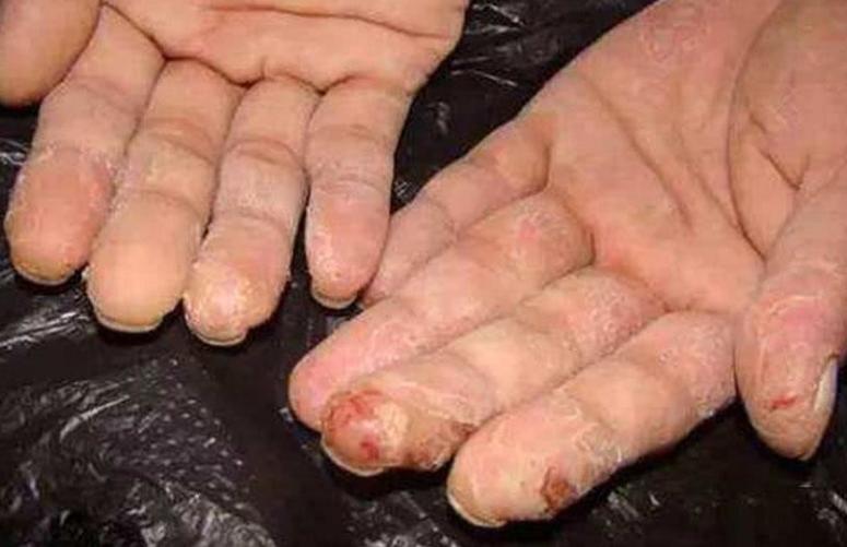 海钓面饵和冻饵哪个效果好,海钓面饵适合在什么地方使用