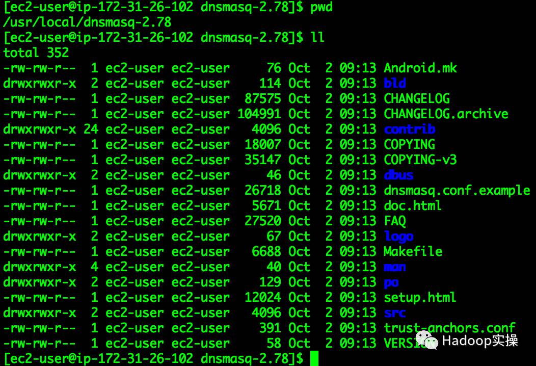 0047-如何利用Dnsmasq构建小型集群的本地DNS服务器