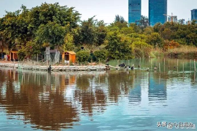 厦门将新增一条滨海浪漫线,厦门一条很美的路线