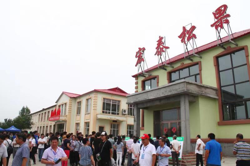 黑龙江宏泰松果有限公司,黑龙江宏泰松果