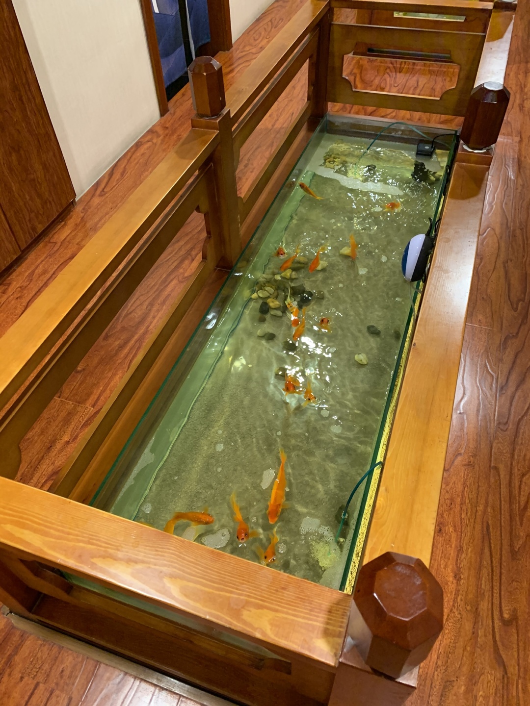 298元/位140多道菜随便吃，长春15年日料店白给菊乃胜酒