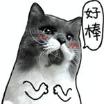 国足星期四晚上几点开赛,国足18强赛主场去哪买票