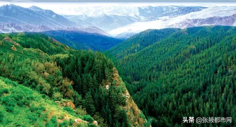 张掖景点免门票政策最新,张掖景点门票免费政策最新