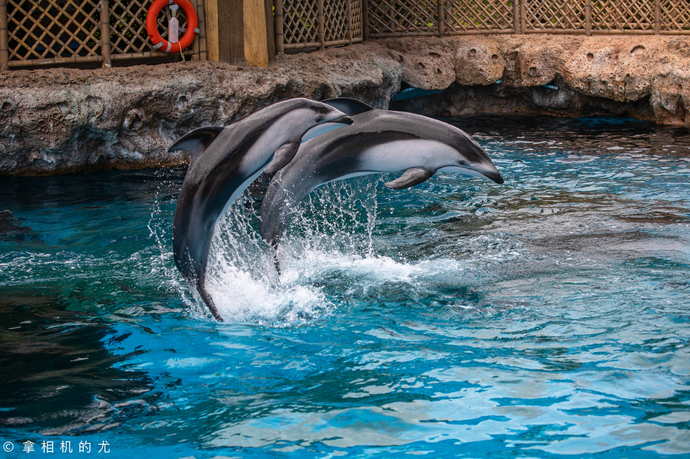 珠海横琴长隆海洋王国游玩全攻略,珠海长隆海洋王国跟香港海洋公园