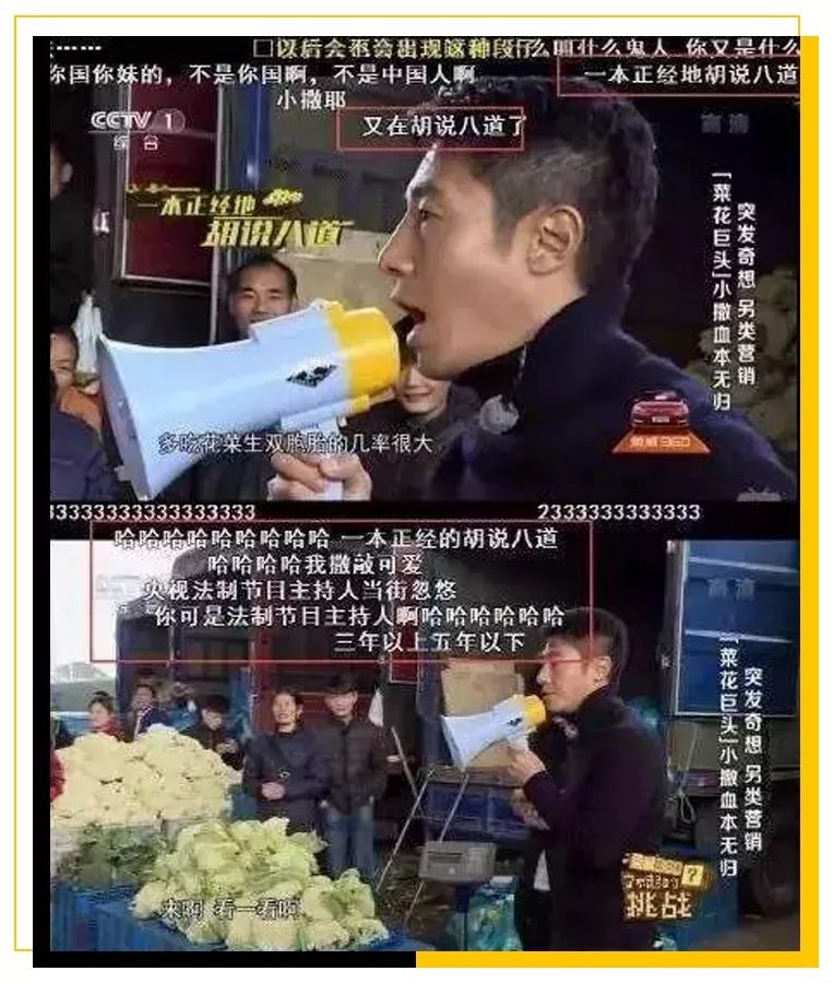 村花撒贝宁：我，43岁，*戏调**马云，芳心纵火犯