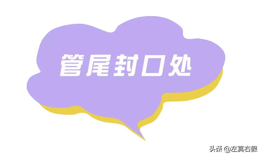 比较好用的平价隔离,屈臣氏好用的平价隔离推荐