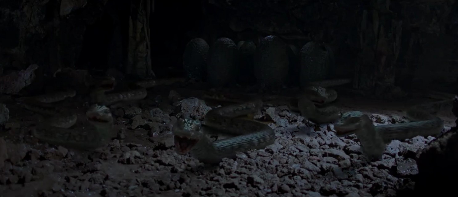 大蛇2电影恐怖片,惊险电影大蛇2