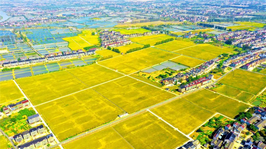 杭州未来乡村建设方案,杭州市未来乡村规划