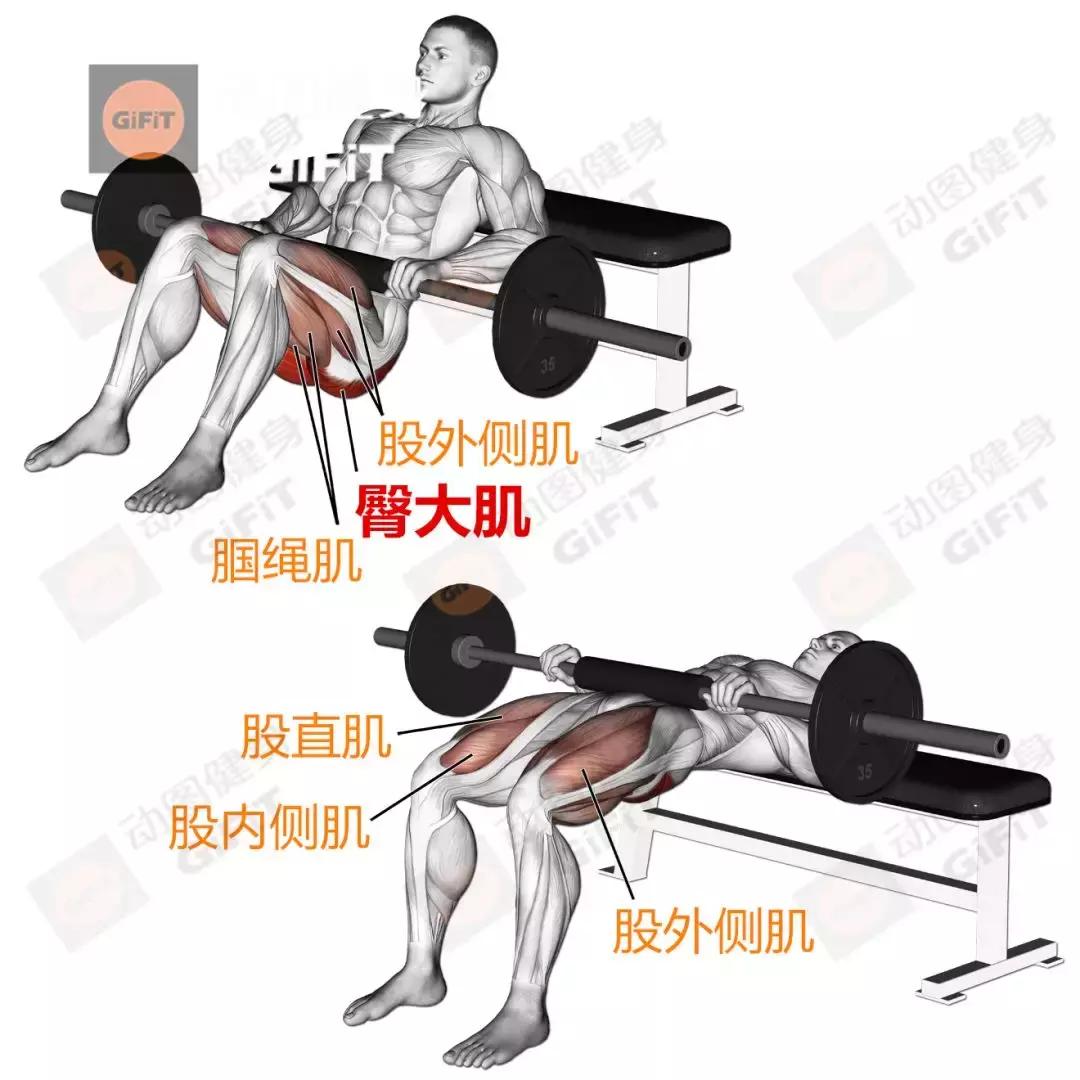 女生健身房器械训练计划一周,初中生健身房器械训练计划