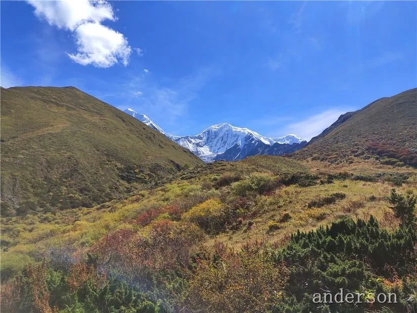陪着贡嘎过仲秋，深夜听到女生的尖叫（上）