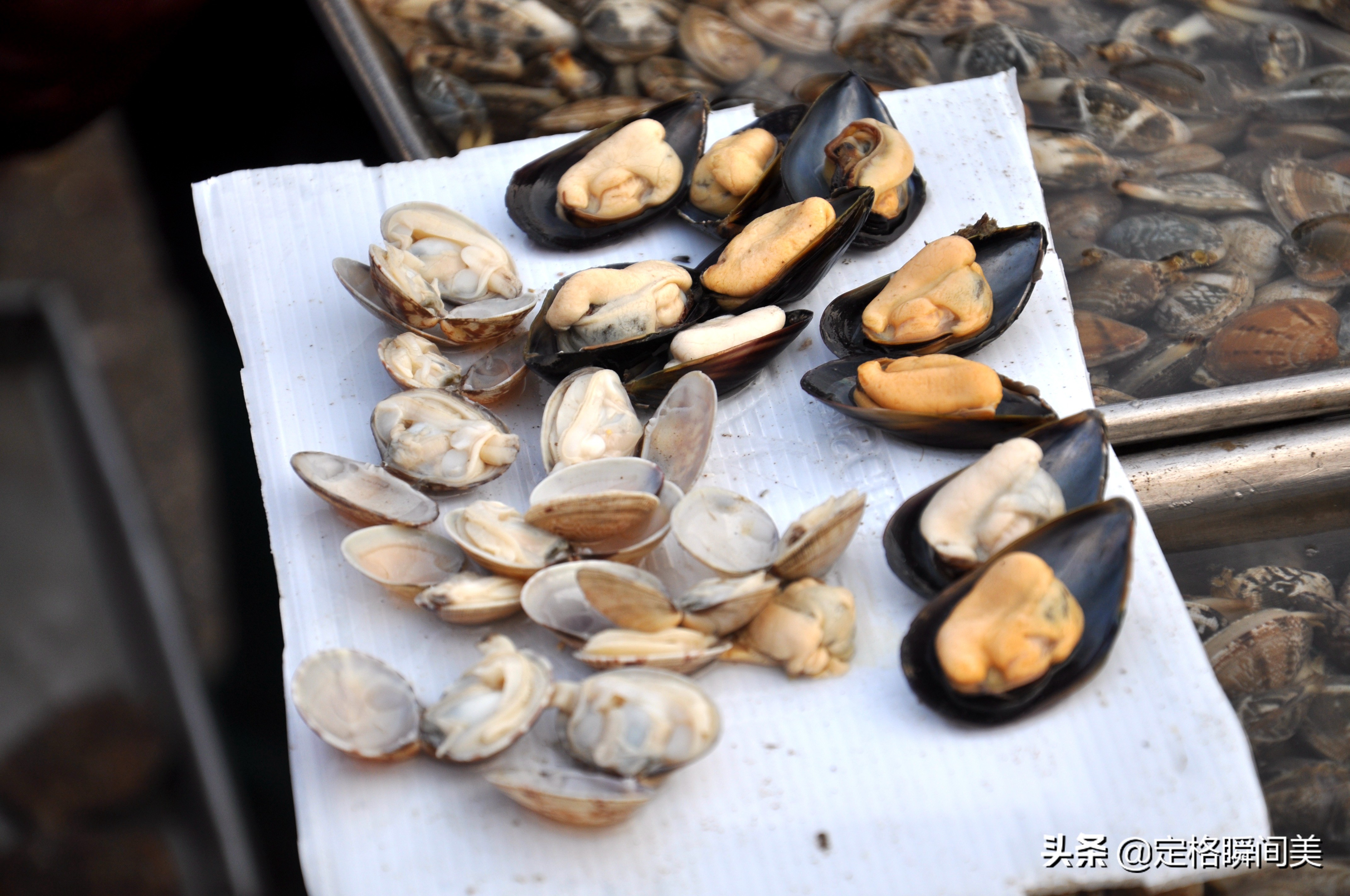 好养殖的海货,最新野生海货