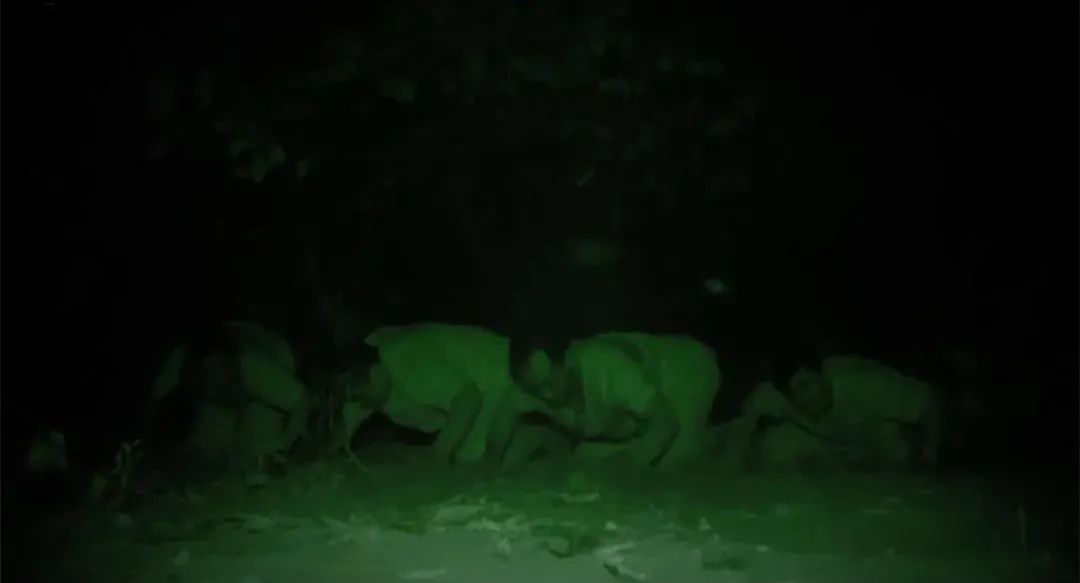 最可怕的恐怖片评分最高,最新播出的最刺激的恐怖片