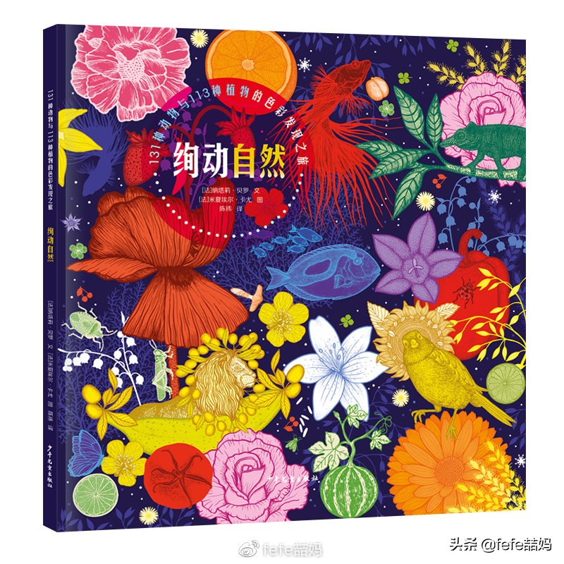 心中有信仰：迎中秋月亮｜非学科类｜秋季书单