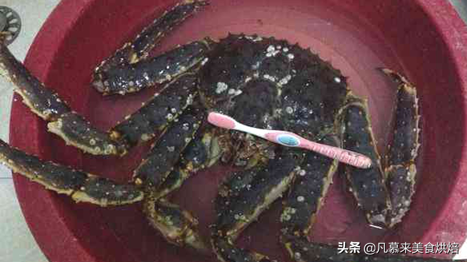 帝王蟹怎么处理？如何选购帝王蟹？哪种好吃？帝王蟹的五种吃法