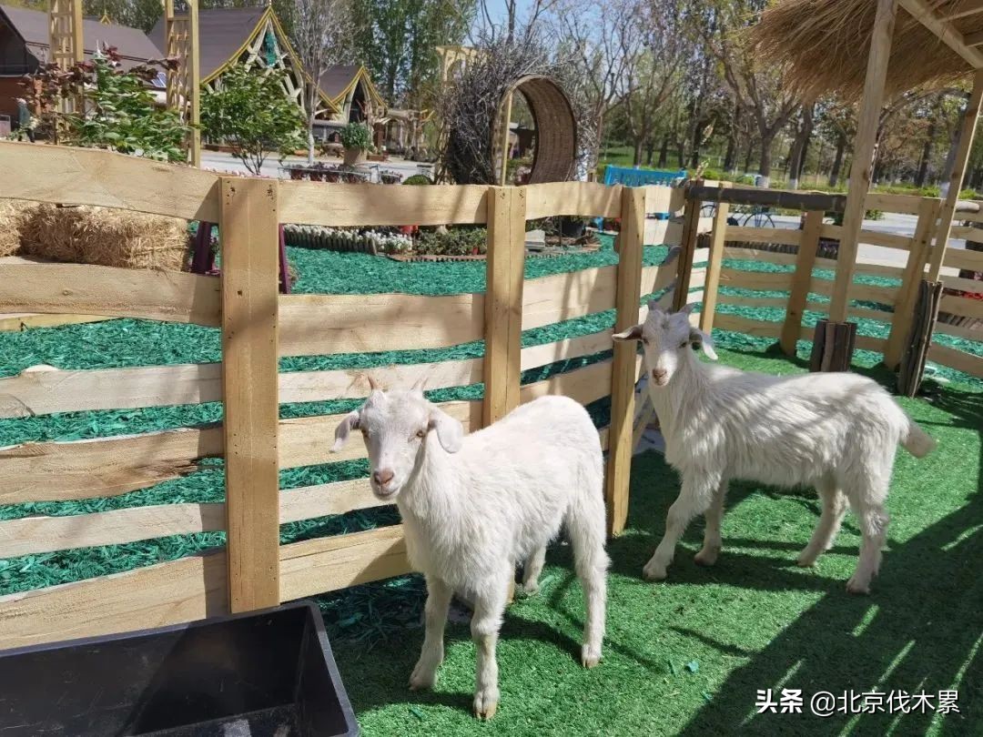 自驾游不走寻常路,不走寻常路怎么玩