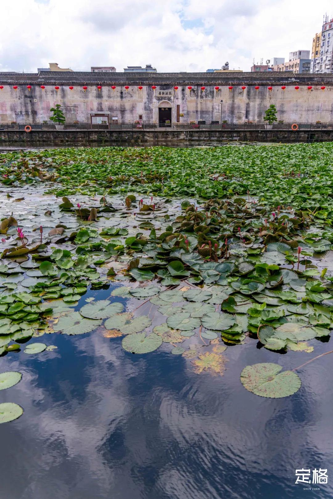 深圳周末打卡地点排行榜,深圳秋季打卡攻略