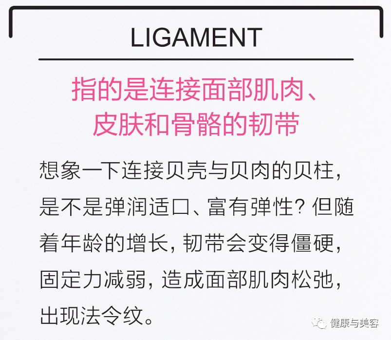 谢娜示范瘦脸操，5秒钟按压操消除法令纹！