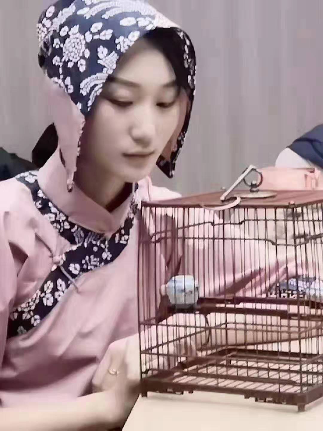 绣眼拉稀就废了吗,绣眼拉稀站不稳