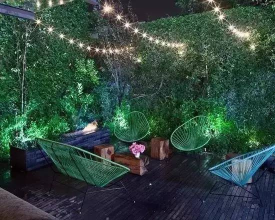 夏天院子里种爬山虎,家中种爬山虎