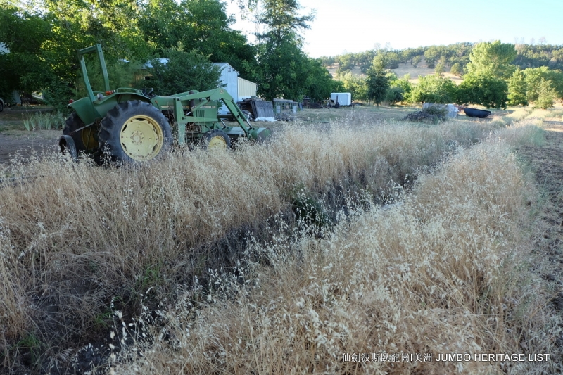 第3045回：人生一世草生一春，来如风雨去似微尘