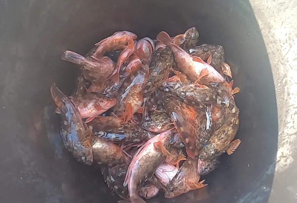 最简单的海钓入门新手教程,海钓新手学习海钓的技巧大全