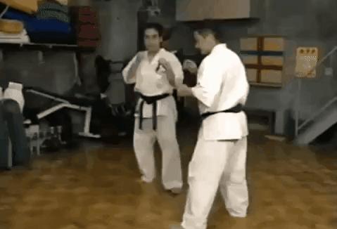 不同侧踢技术的比较分析,前踢实战运用