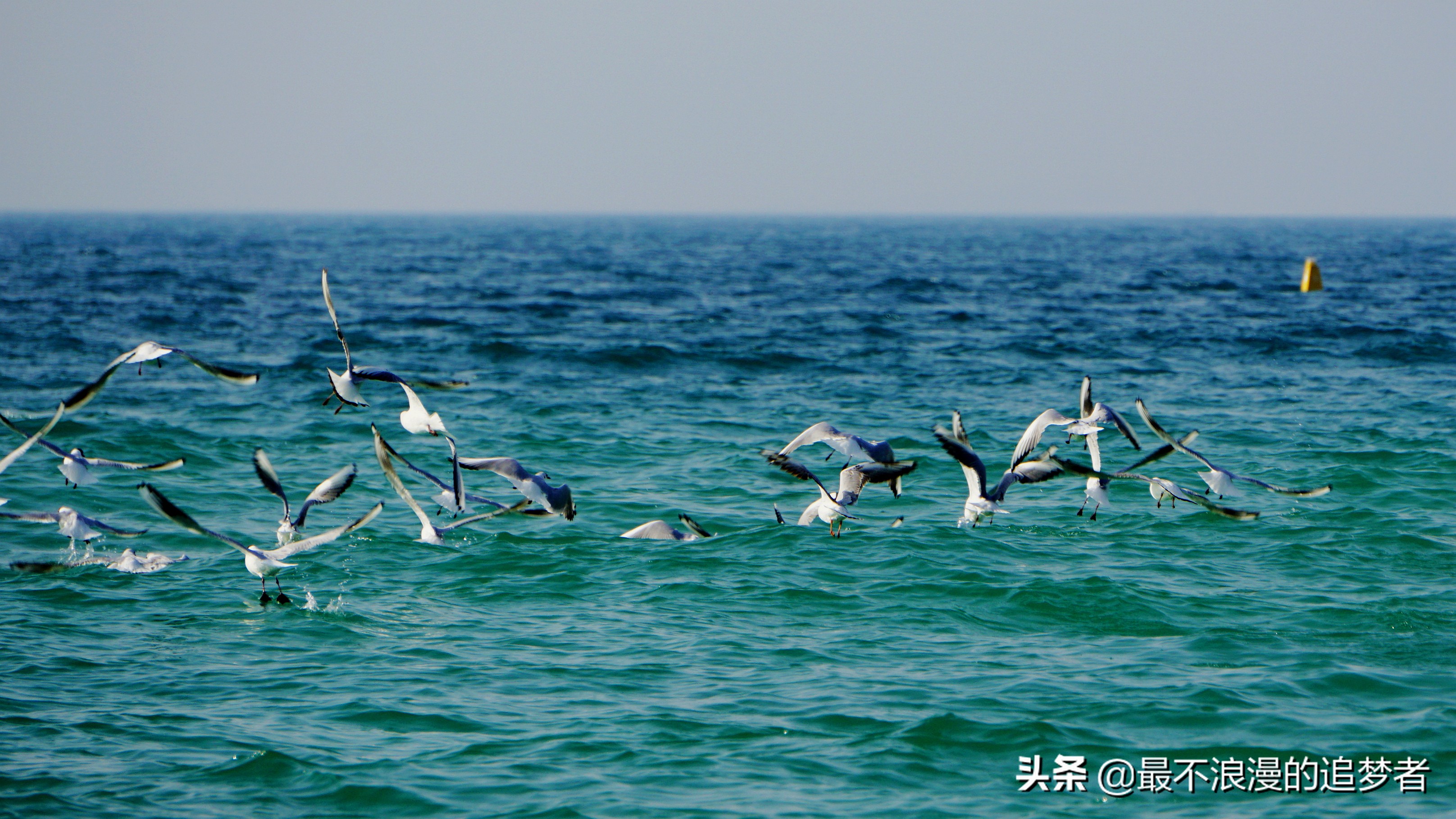 阿联酋迪拜的旅游感想,阿联酋迪拜旅游攻略